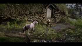 red dead 2 online how to make money,Introduction to Red Dead Online